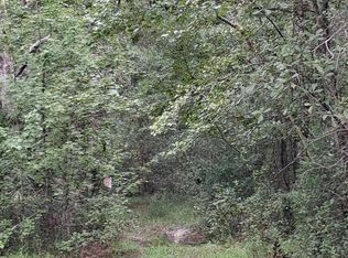 LOT 9 SKIPPER Road, Middleburg, FL 32068