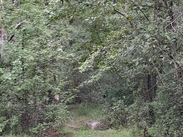 LOT 9 SKIPPER Road, Middleburg, FL 32068