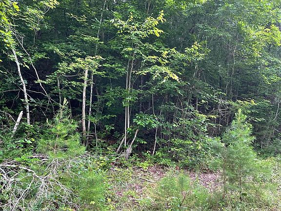 5th image of Bullen Valley Rd
