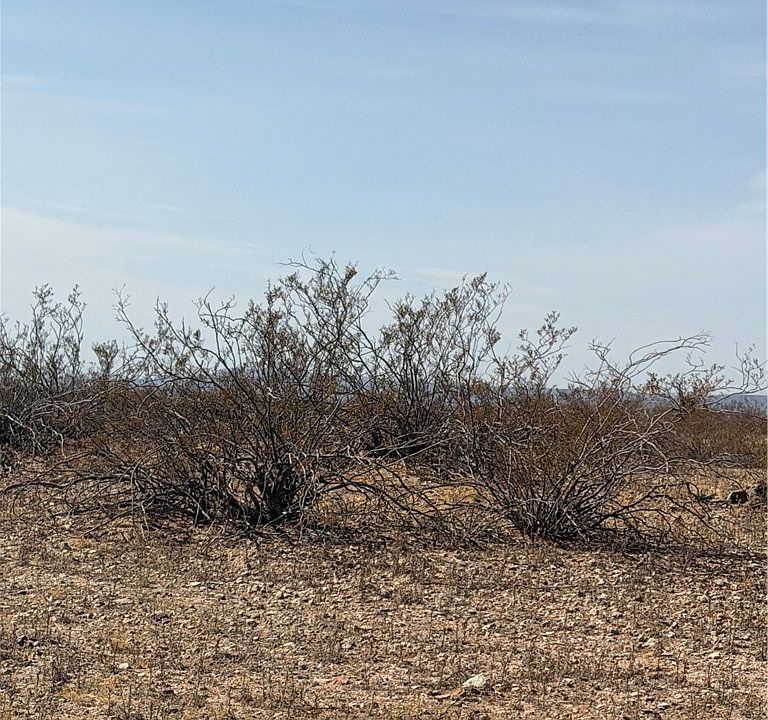 1st image of 2661 S Muscovite Road