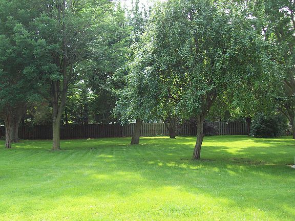 Parklike back yard