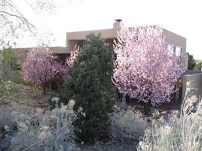View of property from the South in the Spring, with Purple Leaf Plums in bloom