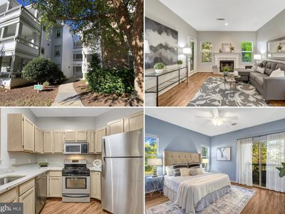 4401 Sedgehurst Dr APT 203, Fairfax, VA, 22033