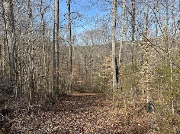 52 W Bobcat Ln, Wilder, TN 38589
