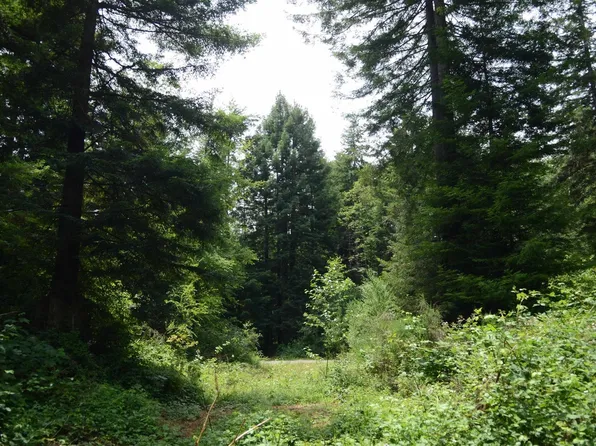 LOT 45 Speer Dr, Crescent City, CA 95531