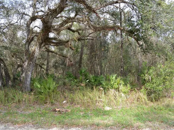 7180 Alloy St #11, Webster, FL 33597