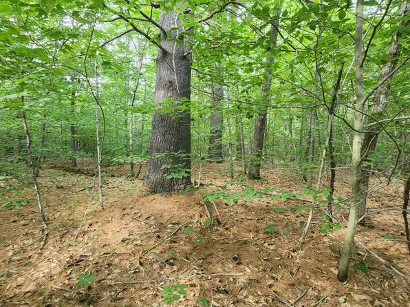 TBD Middle Route, Gilmanton, NH 03237