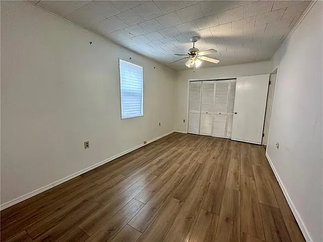 803 Chipley St — Photo 10