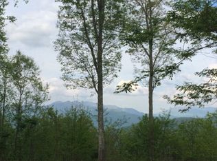 Barkers Creek Rd, Whittier, NC 28789