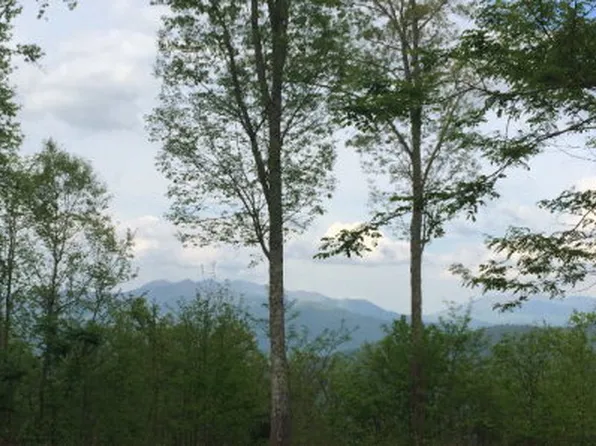 1200 Barkers Creek Rd, Whittier, NC 28789
