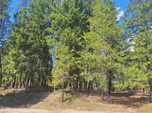 Nna Parkland Dr, Blanchard, ID 83804