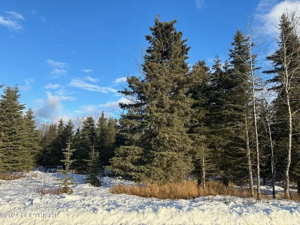 66386 Aspen Ave, Ninilchik, AK 99639