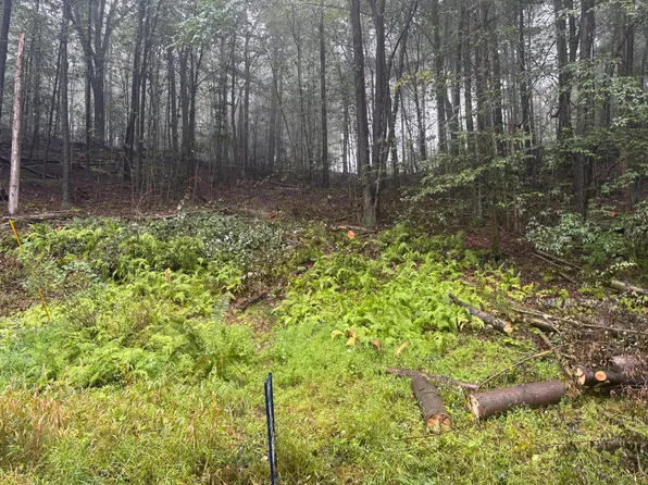 Anguilla Rd Lot 461, Du Bois, PA 15801