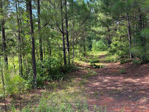 3rd image of County Road 228 #1