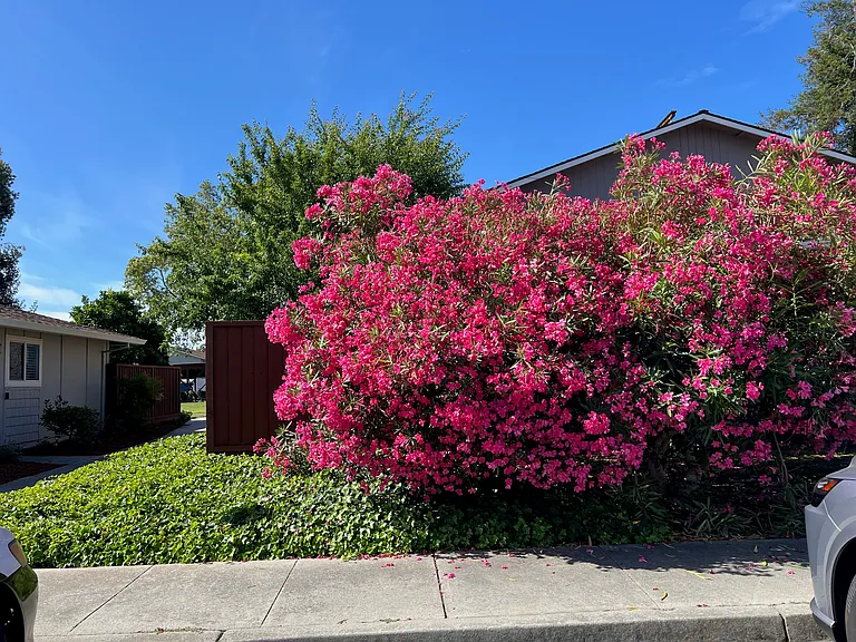 1119 Reed Ave #C — Photo 17