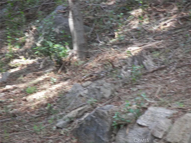 21636 Sawpit Canyon Rd — Photo 71