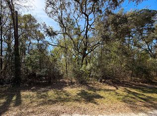 NE Laurie Ln LOT 52, Mayo, FL 32066