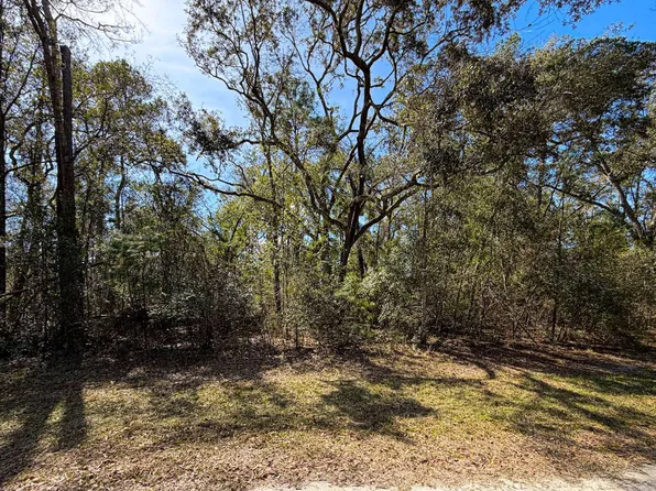NE Laurie Ln Lot 52, Mayo, FL 32066