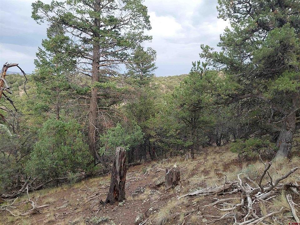 1st image of 222 Sunrise Road