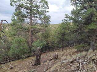 222 Sunrise Rd, South Fork, CO 81154