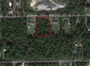 5763 Nutwood Ave, Bunnell, FL 32110