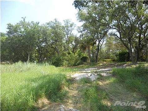 High & dry lot with natural vegetation.