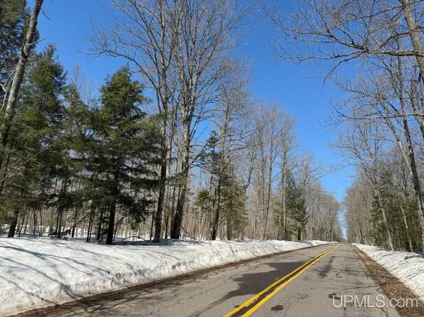 Dukes Rd, Skandia, MI 49885