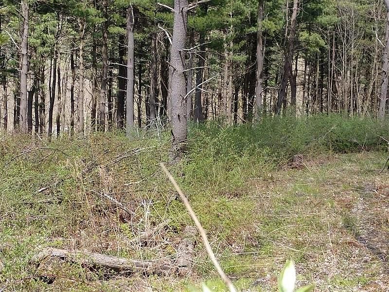 2nd image of 3238 Shay Rd