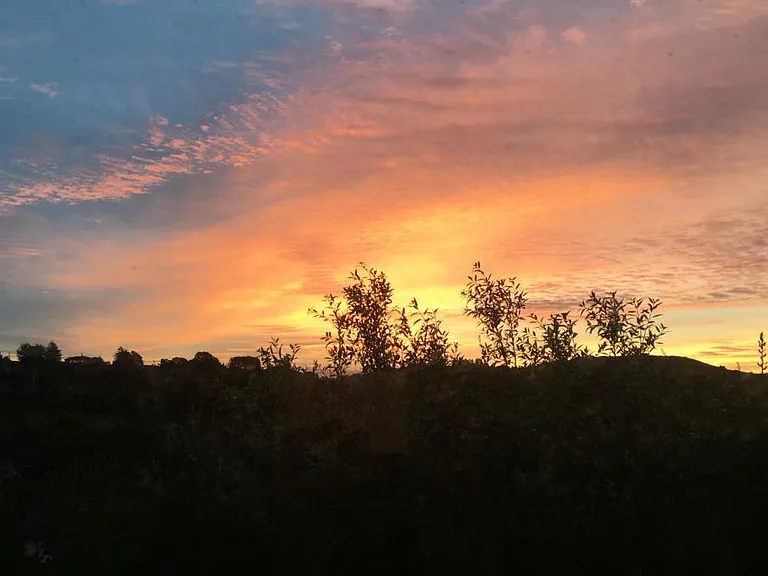 View from Balcony