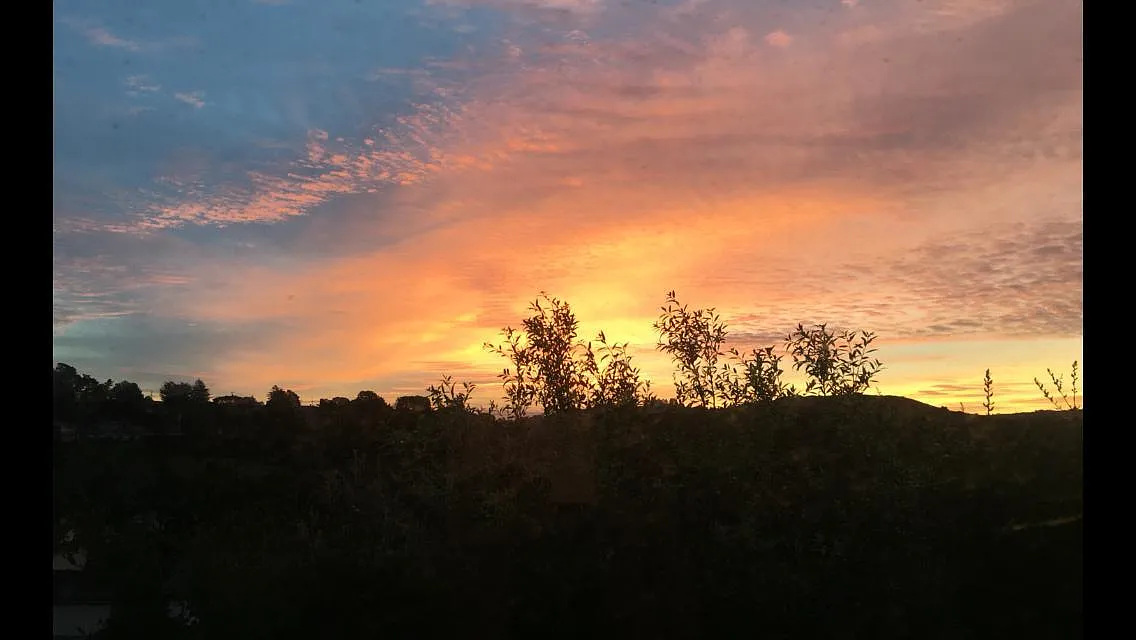 View from Balcony - Palos Verdes Dr