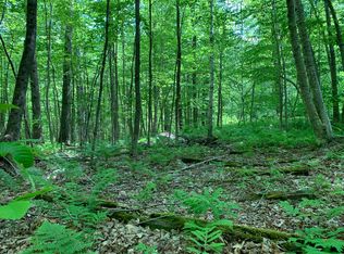 39 Lynes Rd, Chester, MA 01011