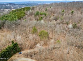 65 Deer Run Way, Hartford, NY 12838