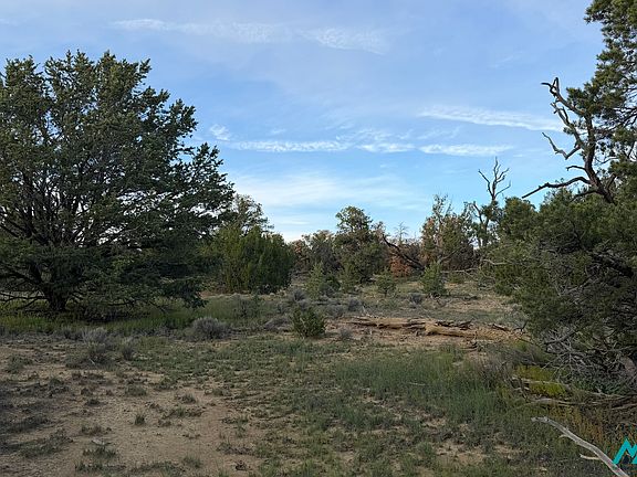 5th image of 136 Ponderosa View Loop #18