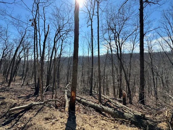 Twin Hills Rd, Hillsboro, KY 41049