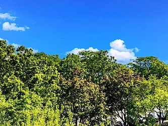 Sold by Re/Max In The City