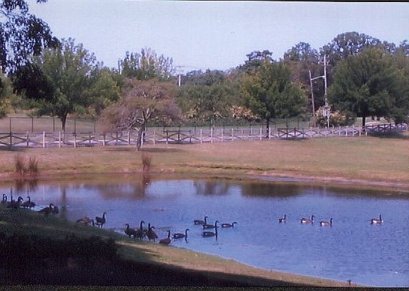 3rd image of 1222 Ostrander Ave