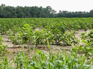 0 Twin Forks Rd TRACT 2, Statesboro, GA 30458