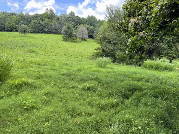 6461 Highway 48 N Lot 4, Cumberland Furnace, TN 37051