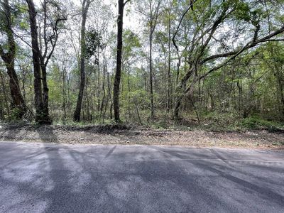 Cartoon Cir, Eutawville, SC, 29048