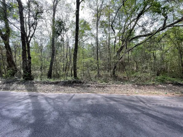 Cartoon Cir, Eutawville, SC 29048