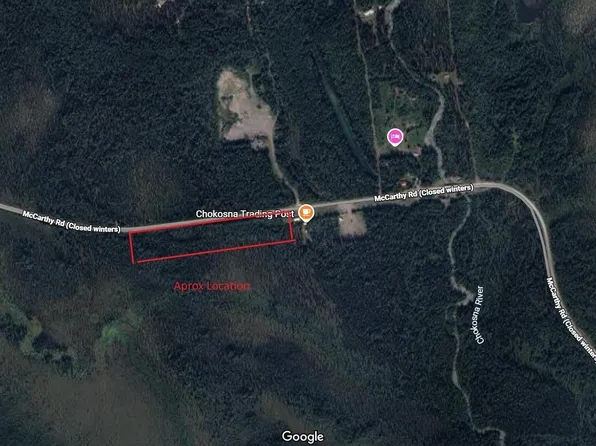 L1-5 McCarthy Rd, Copper Center, AK 99573