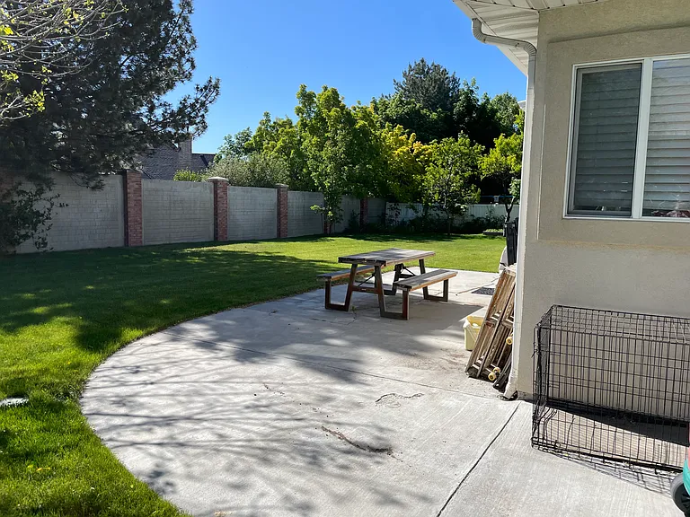 backyard looking south