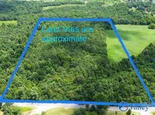 19 County Road 357, Pisgah, AL 35765