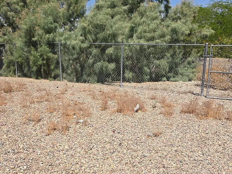2889 Hidden Valley Dr — Photo 19
