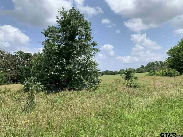 18569 Burkett Rd, Flint, TX 75762