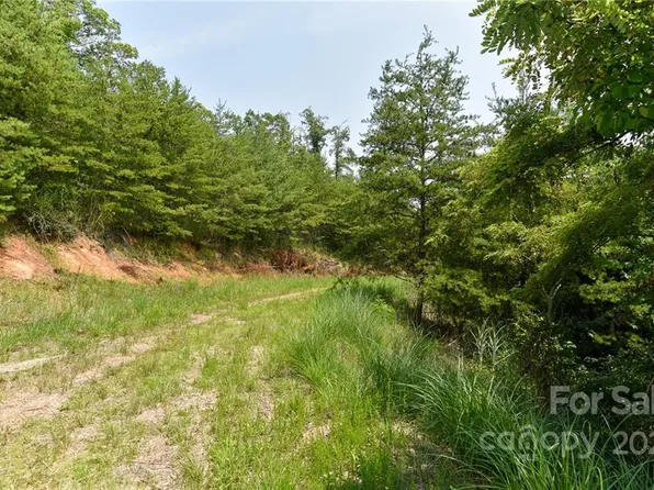 9 The Vines Blvd Lot 9, Marshall, NC 28753