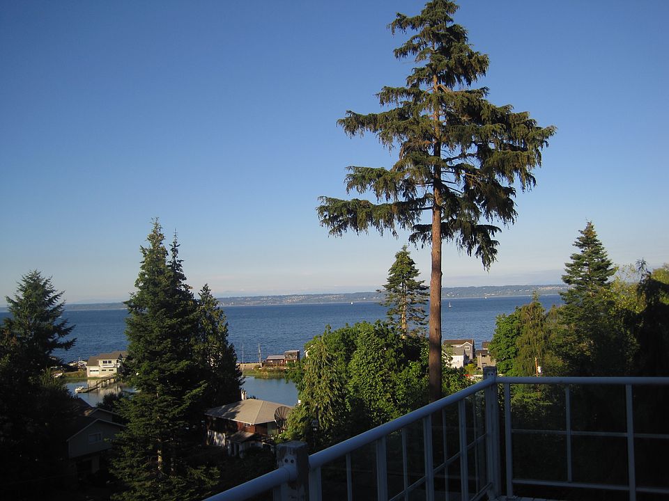 View from Deck