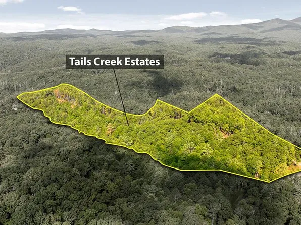 0 Tails Creek Rd, Ellijay, GA 30540