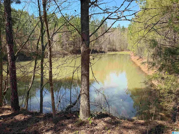 0 County Road 79 #1, Wadley, AL 36276
