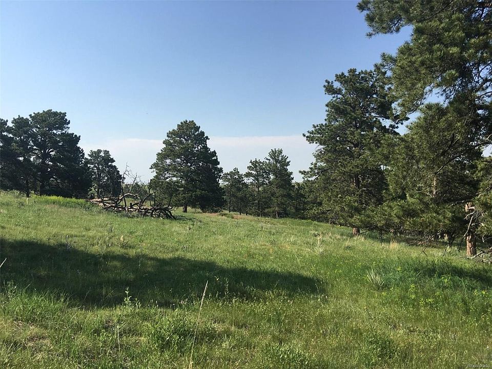 1st image of 47412 Loblolly Pine Cir
